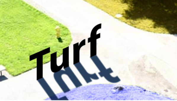 Turf (2007-2009)